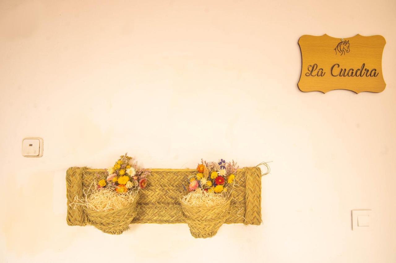 Apartamento La Cuadra En Centro 코르도바 외부 사진